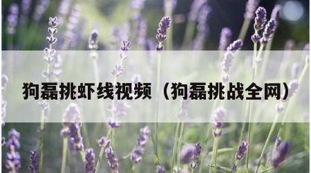 狗磊挑虾线视频（狗磊挑战全网）