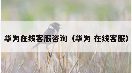 华为在线客服咨询（华为 在线客服）