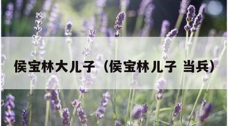 侯宝林大儿子（侯宝林儿子 当兵）