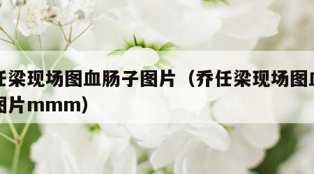 乔任梁现场图血肠子图片（乔任梁现场图血肠子图片mmm）