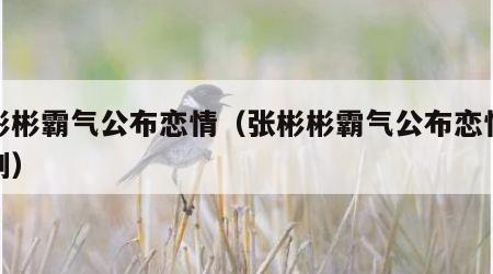张彬彬霸气公布恋情（张彬彬霸气公布恋情电视剧）
