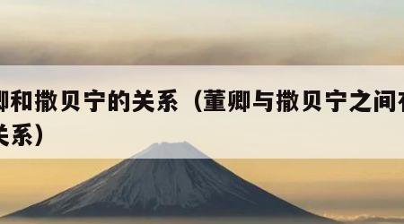 董卿和撒贝宁的关系（董卿与撒贝宁之间有什么关系）