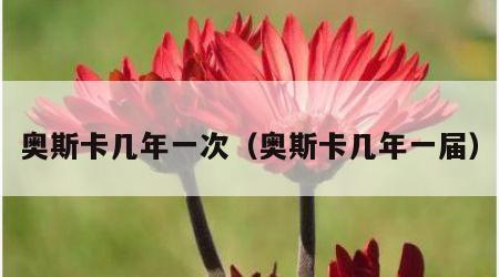 奥斯卡几年一次（奥斯卡几年一届）