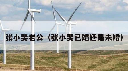 张小斐老公（张小斐已婚还是未婚）