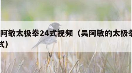 吴阿敏太极拳24式视频（吴阿敏的太极拳24式）