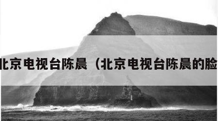 北京电视台陈晨（北京电视台陈晨的脸）