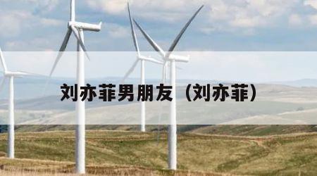 刘亦菲男朋友（刘亦菲）
