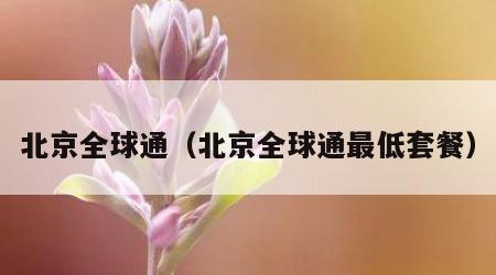 北京全球通（北京全球通最低套餐）