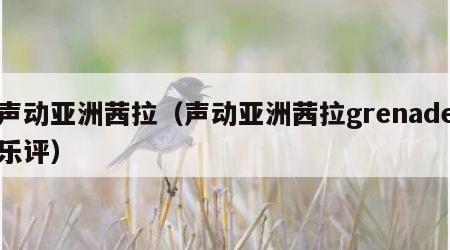 声动亚洲茜拉（声动亚洲茜拉grenade乐评）