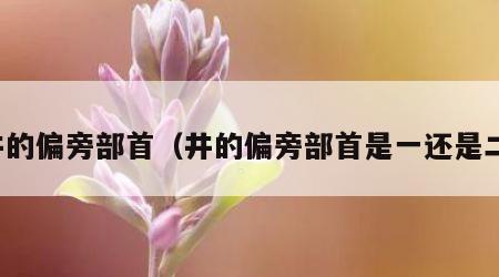 井的偏旁部首（井的偏旁部首是一还是二）