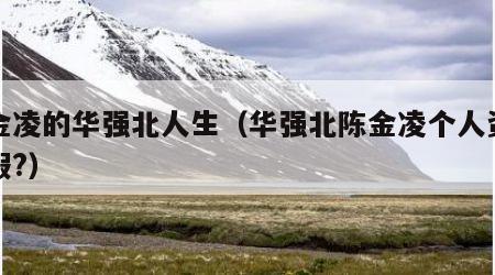 陈金凌的华强北人生（华强北陈金凌个人资料真假?）