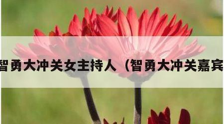 智勇大冲关女主持人（智勇大冲关嘉宾）