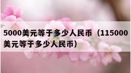 5000美元等于多少人民币（115000美元等于多少人民币）