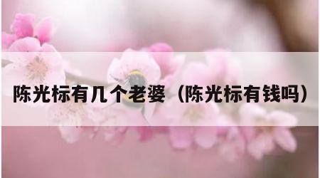 陈光标有几个老婆（陈光标有钱吗）