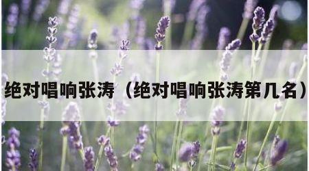 绝对唱响张涛（绝对唱响张涛第几名）