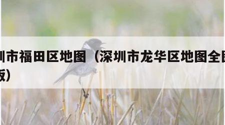 深圳市福田区地图（深圳市龙华区地图全图高清版）
