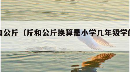 斤和公斤（斤和公斤换算是小学几年级学的题）
