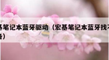 宏基笔记本蓝牙驱动（宏基笔记本蓝牙找不到设备）