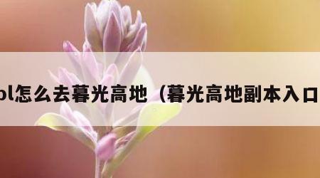 bl怎么去暮光高地（暮光高地副本入口）