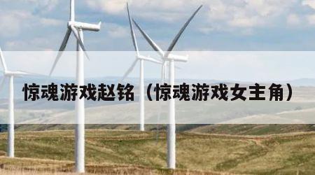 惊魂游戏赵铭（惊魂游戏女主角）
