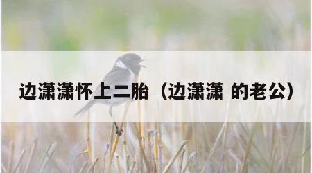 边潇潇怀上二胎（边潇潇 的老公）