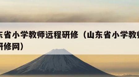 山东省小学教师远程研修（山东省小学教师远程研修网）