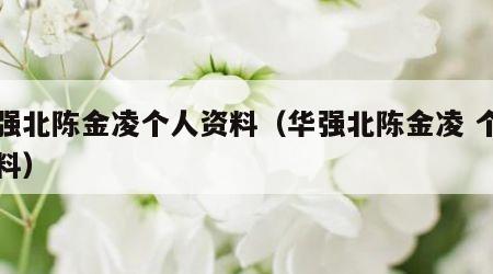 华强北陈金凌个人资料（华强北陈金凌 个人资料）