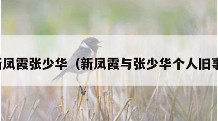 新凤霞张少华（新凤霞与张少华个人旧事）