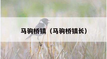 马驹桥镇（马驹桥镇长）