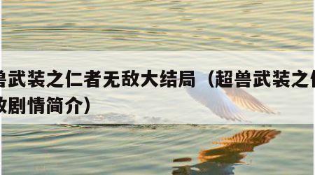 超兽武装之仁者无敌大结局（超兽武装之仁者无敌剧情简介）