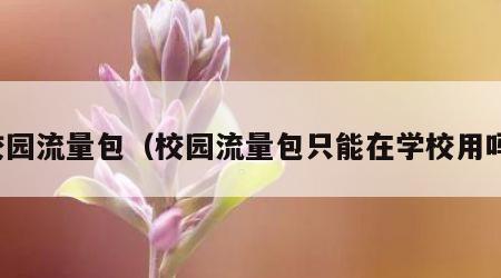 校园流量包（校园流量包只能在学校用吗）