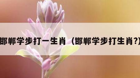 邯郸学步打一生肖（邯郸学步打生肖?）