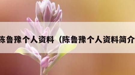 陈鲁豫个人资料（陈鲁豫个人资料简介）
