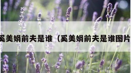 奚美娟前夫是谁（奚美娟前夫是谁图片）