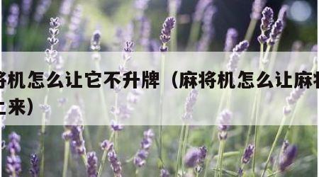麻将机怎么让它不升牌（麻将机怎么让麻将不升上来）