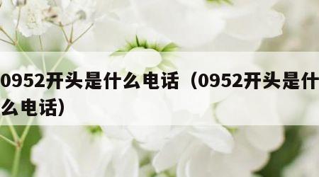 0952开头是什么电话（0952开头是什么电话）