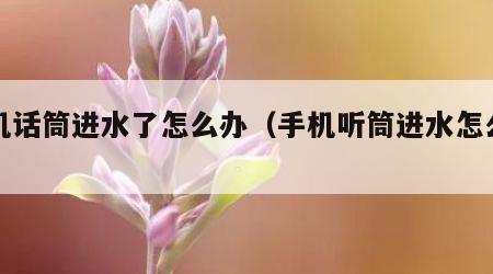 手机话筒进水了怎么办（手机听筒进水怎么办）