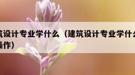 建筑设计专业学什么（建筑设计专业学什么电脑操作）