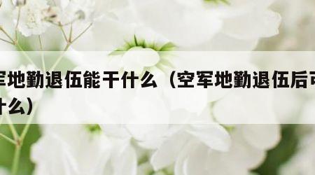 空军地勤退伍能干什么（空军地勤退伍后可以干什么）