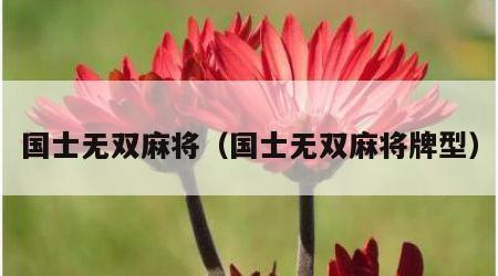 国士无双麻将（国士无双麻将牌型）