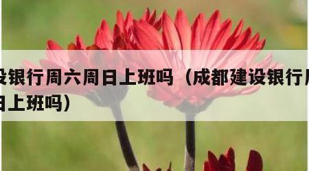 建设银行周六周日上班吗（成都建设银行周六周日上班吗）