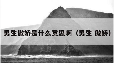 男生傲娇是什么意思啊（男生 傲娇）