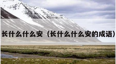 长什么什么安（长什么什么安的成语）