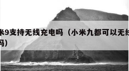 小米9支持无线充电吗（小米九都可以无线充电吗）