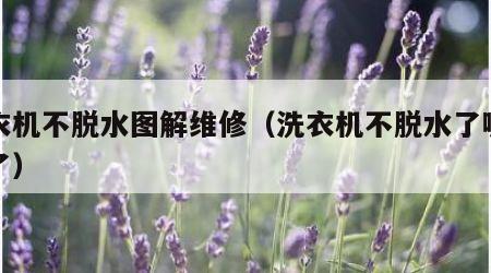 洗衣机不脱水图解维修（洗衣机不脱水了哪里坏了）