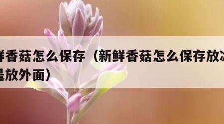 新鲜香菇怎么保存（新鲜香菇怎么保存放冰箱还是放外面）