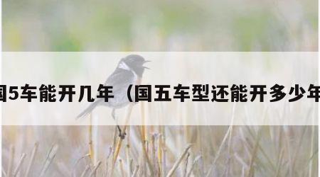 国5车能开几年（国五车型还能开多少年）