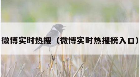 微博实时热搜（微博实时热搜榜入口）