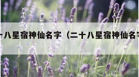 二十八星宿神仙名字（二十八星宿神仙名字视频）