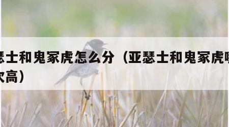 亚瑟士和鬼冢虎怎么分（亚瑟士和鬼冢虎哪个档次高）